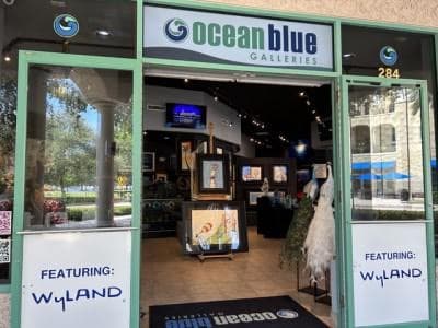 Commercial Build Out, Ocean Blue Galleries, 3900 Central Ave, St. Pete, FL